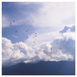 纲手被扒开腿无尽
